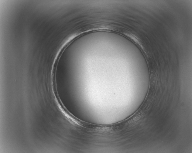 X0000058761135200509300807