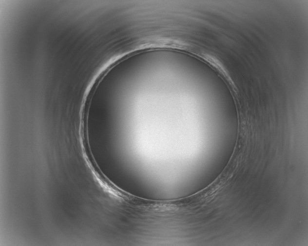 X0000058761136200509300807