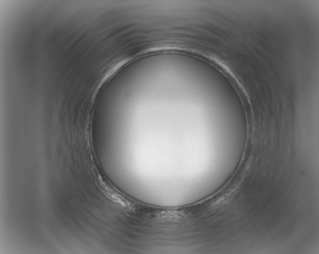 X0000058761137200509300807