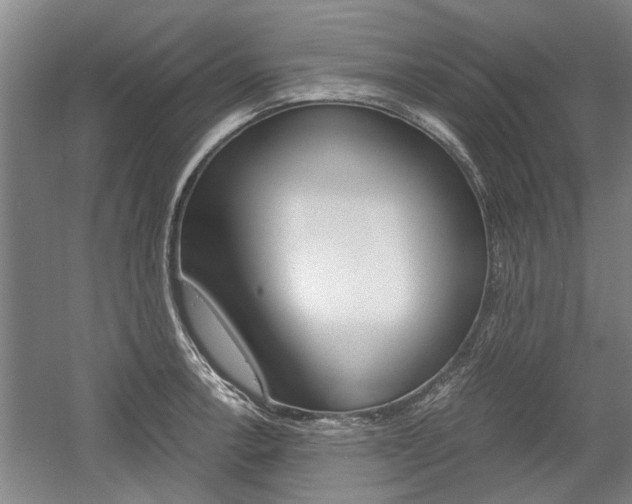 X0000058761138200509300807