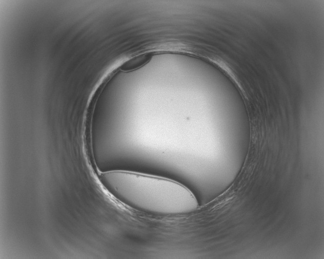 X0000058761139200509300807