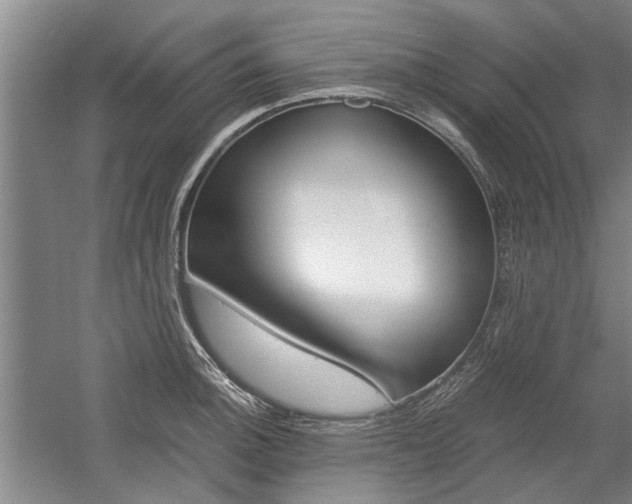 X0000058761140200509300807