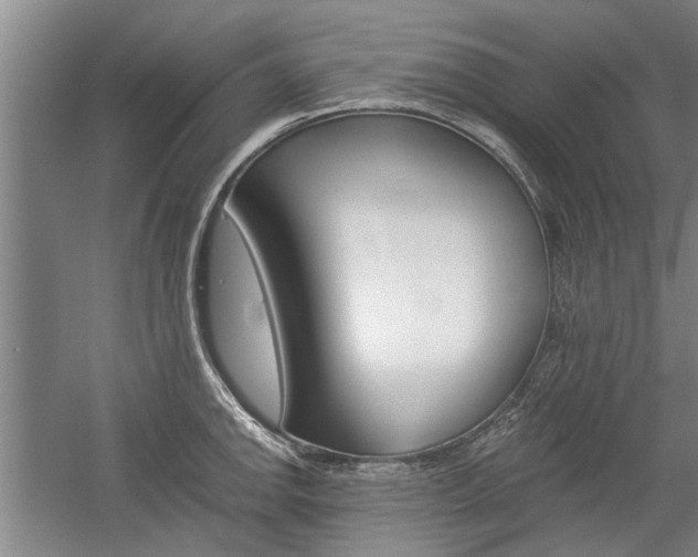 X0000058761142200509300807