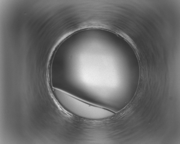 X0000058761144200509300807