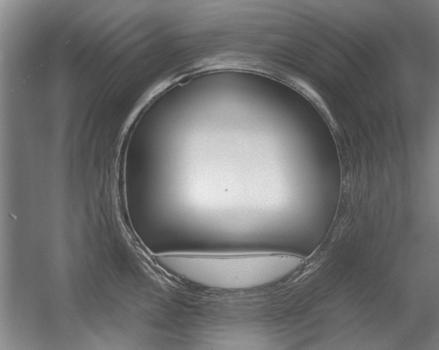 X0000058761146200509300807
