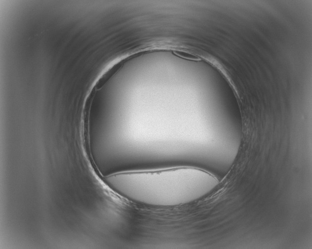 X0000058761147200509300807