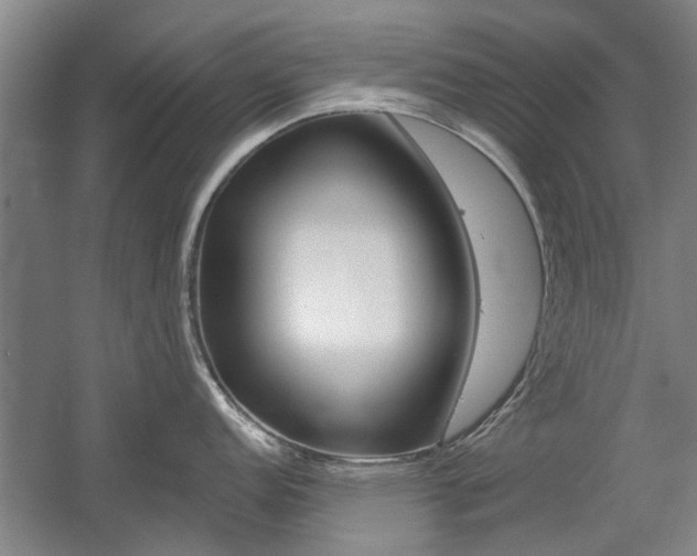 X0000058761152200509300807