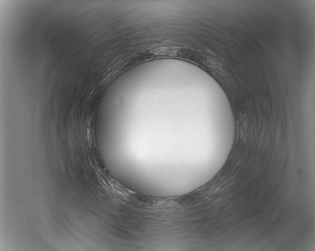 X0000058761154200509300806