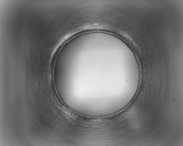 X0000058761167200509300806
