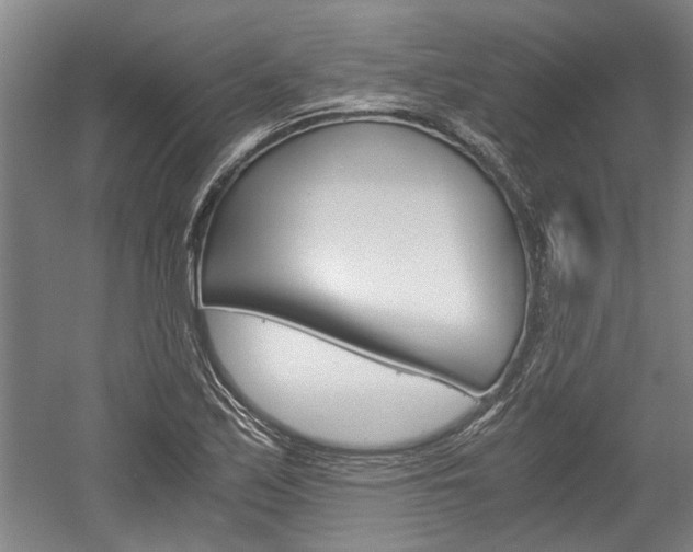X0000058761171200509300806