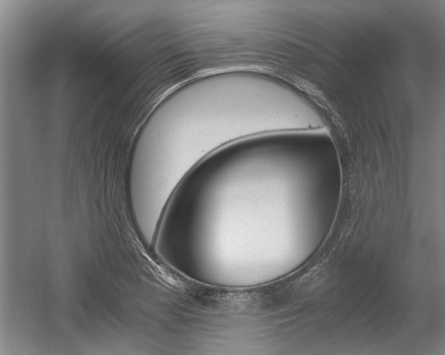 X0000058761177200509300806