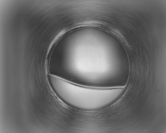 X0000058761180200509300806