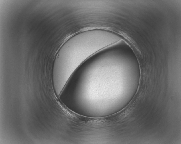 X0000058761185200509300806