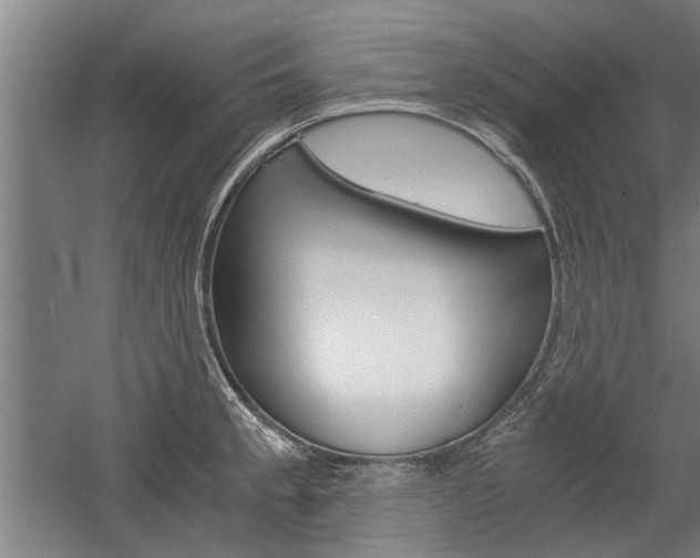 X0000058761189200509300806
