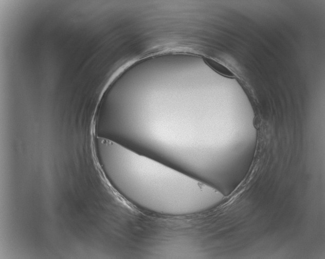 X0000058761198200509300805