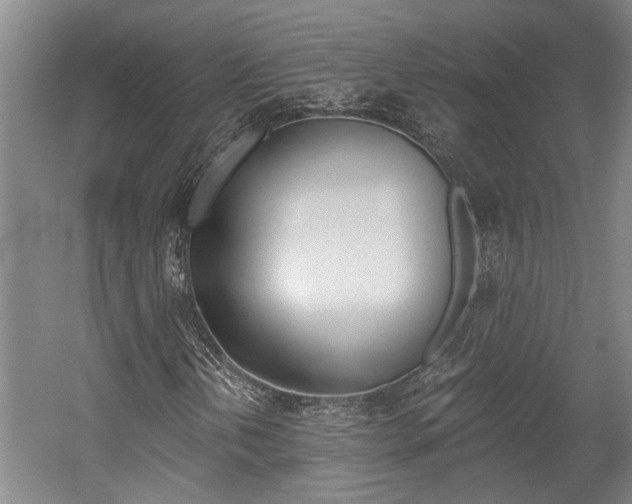 X0000058761202200509300805