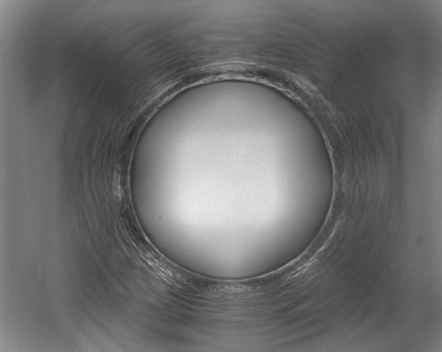 X0000058761209200509300805