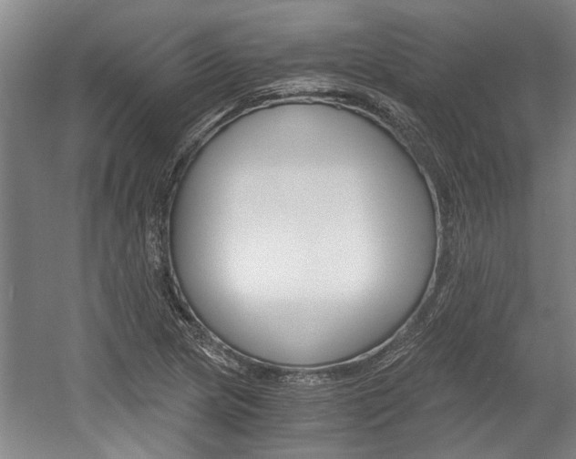 X0000058761217200509300805