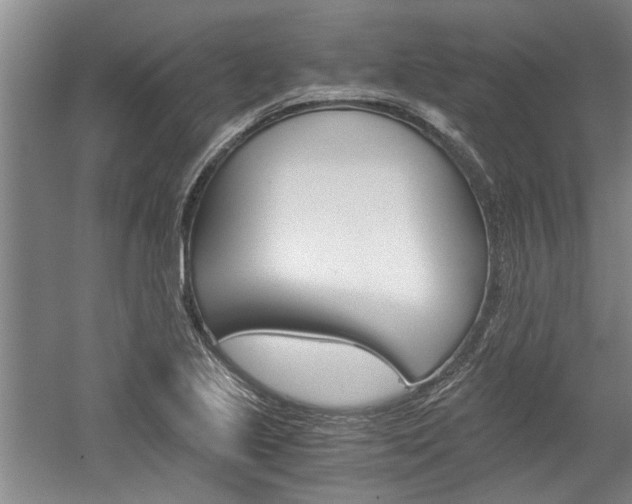 X0000058761221200509300805