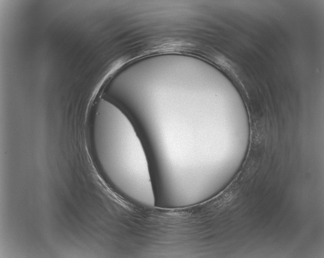 X0000058761227200509300805