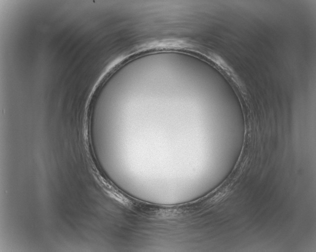 X0000058761232200509300805