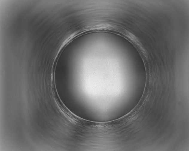 X0000058761234200509300805