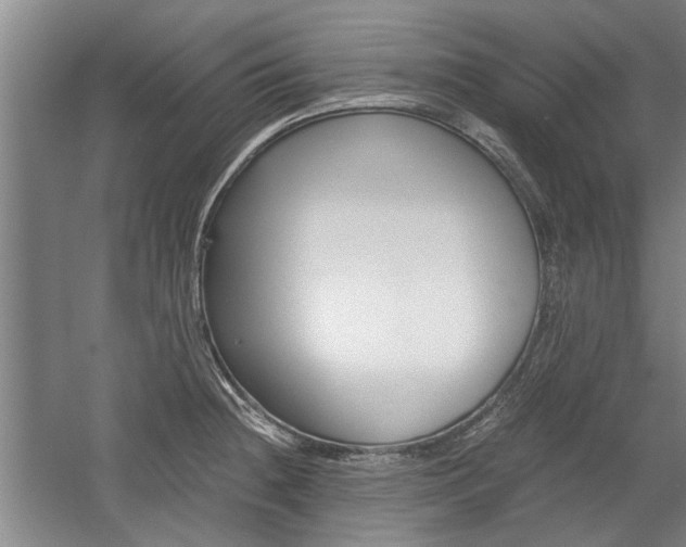 X0000058761236200509300805
