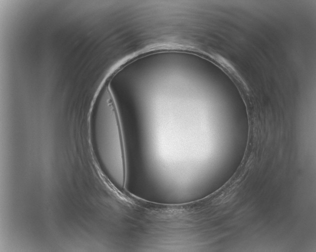 X0000058761238200509300805