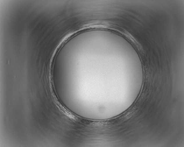X0000058761240200509300805