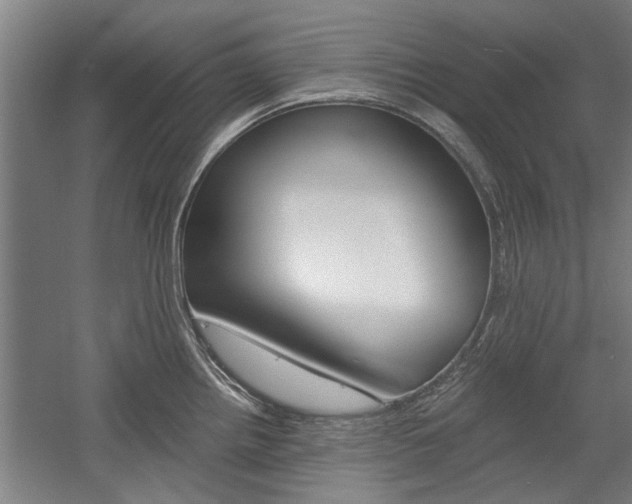 X0000058761242200509300805