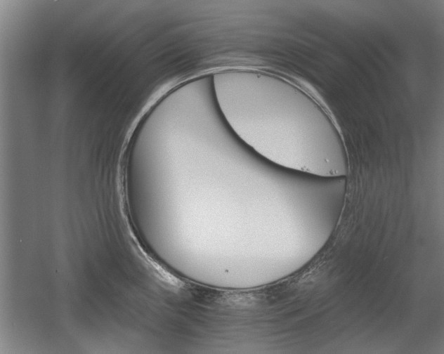 X0000058761243200509300805