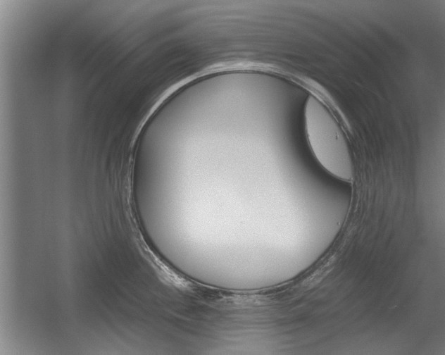 X0000058761244200509300805
