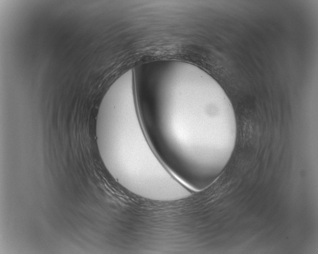 X0000058761250200509300804
