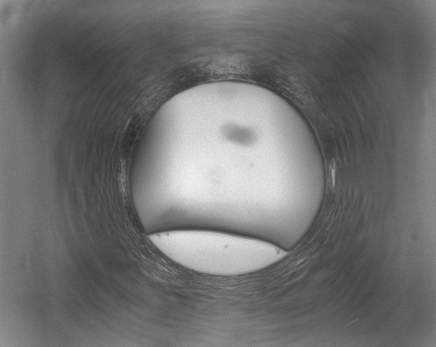 X0000058761251200509300804