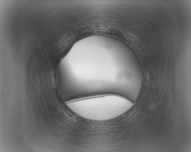X0000058761252200509300804