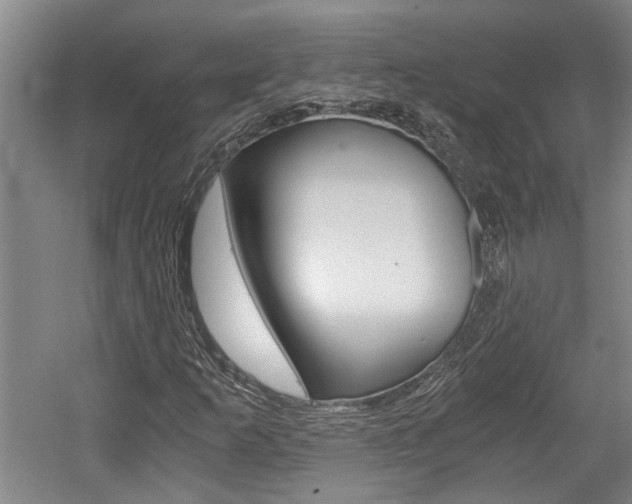 X0000058761253200509300804