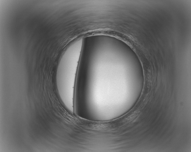 X0000058761257200509300804