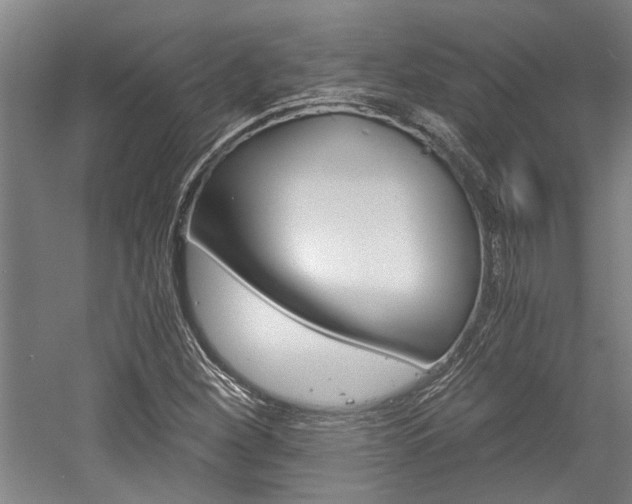 X0000058761260200509300804