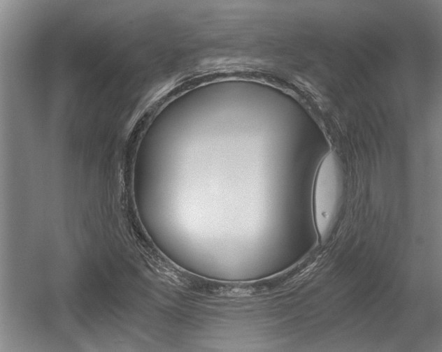 X0000058761261200509300804