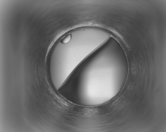 X0000058761270200509300804