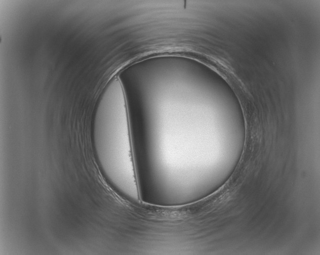 X0000058761273200509300804