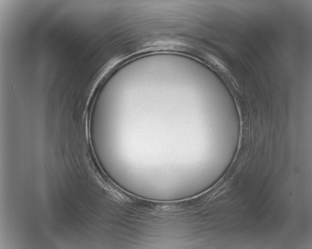 X0000058761275200509300804