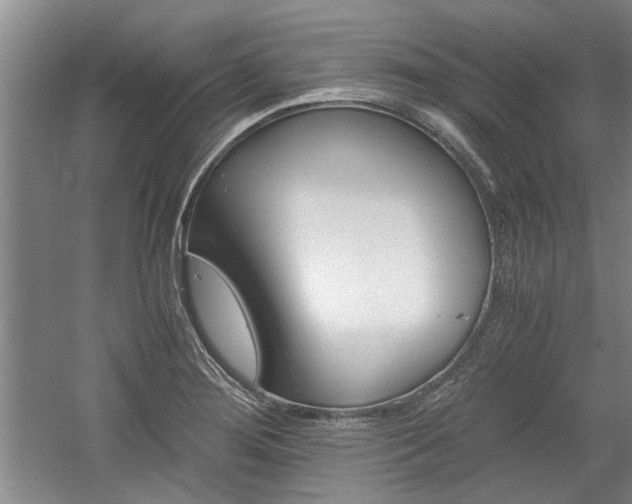 X0000058761276200509300804