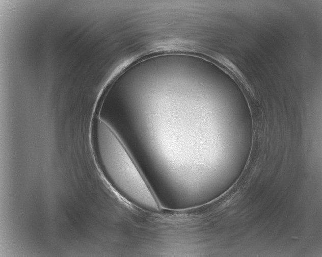 X0000058761285200509300804