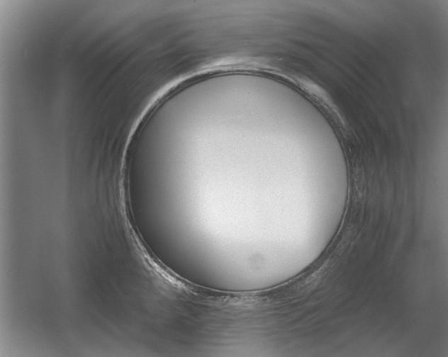 X0000058761288200509300804