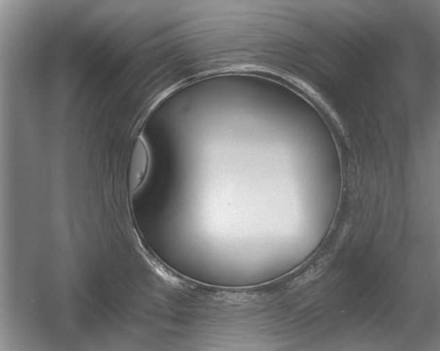 X0000058761289200509300804