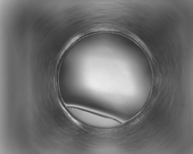 X0000058761293200509300804