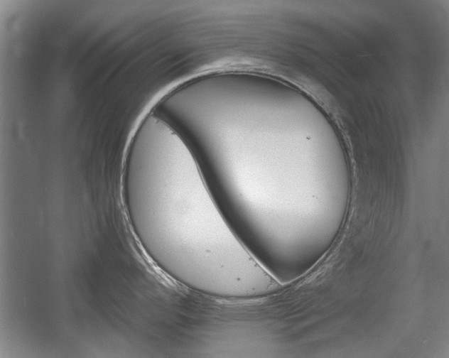 X0000058761296200509300804