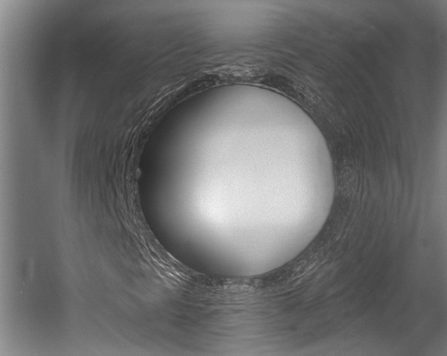 X0000058761297200509300803