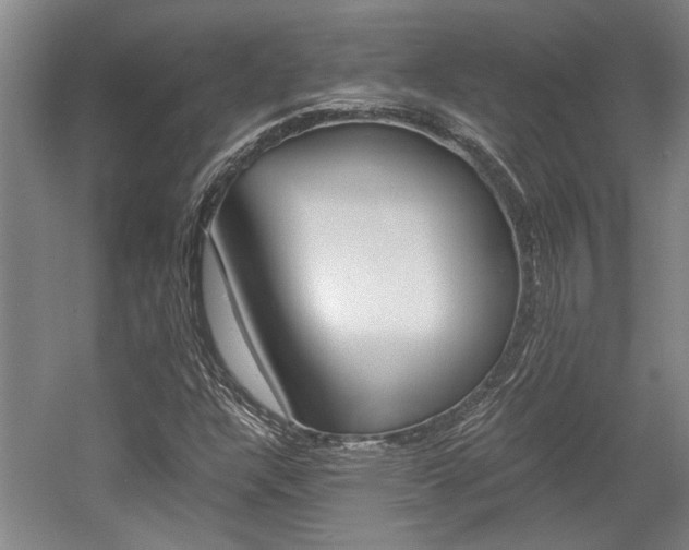 X0000058761304200509300803